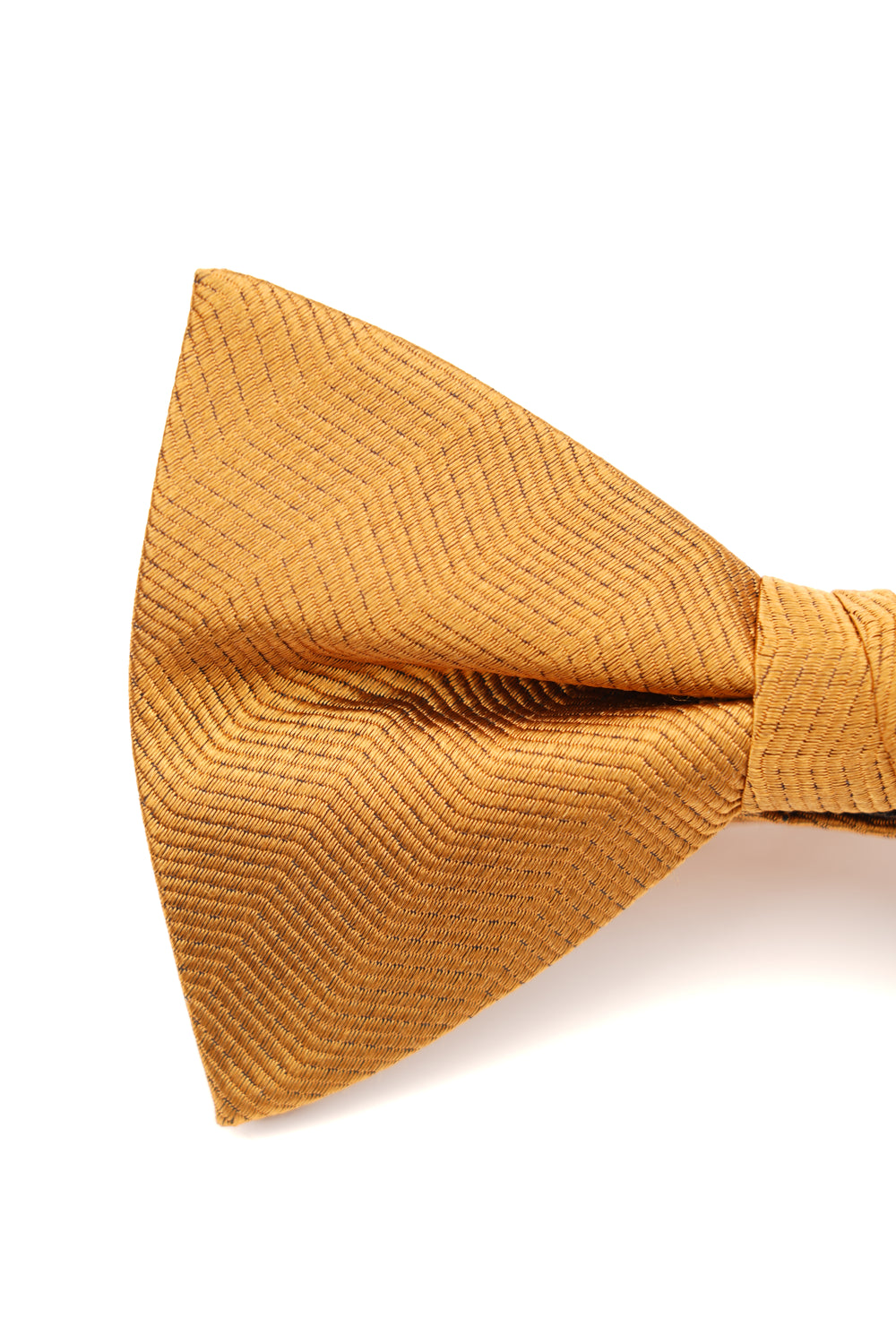 Papion auriu uni cu textură fină